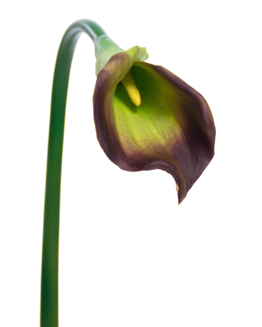 24" Silk Calla Lily Bud Flower Stem S3064