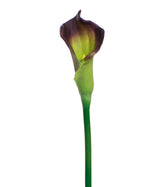 24" Silk Calla Lily Bud Flower Stem S3064
