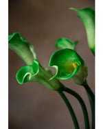24" Silk Calla Lily Bud Flower Stem S3064