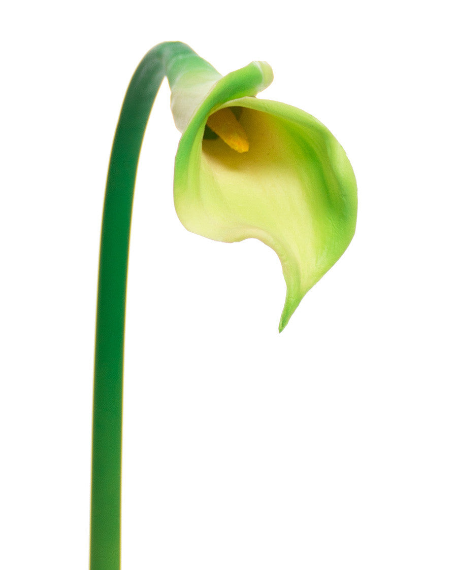 24" Silk Calla Lily Bud Flower Stem S3064