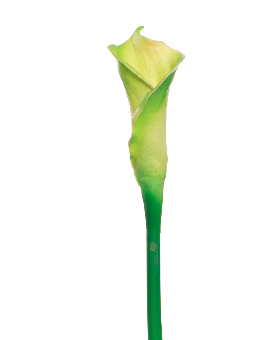 24" Silk Calla Lily Bud Flower Stem S3064