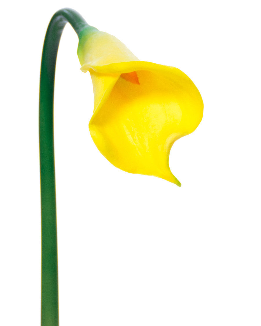24" Silk Calla Lily Bud Flower Stem S3064