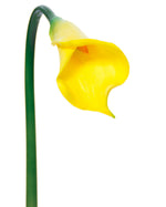 24" Silk Calla Lily Bud Flower Stem S3064