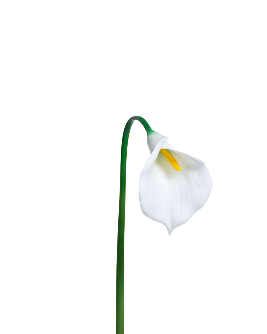 28" Large Silk Calla Lily Flower Stem S3080