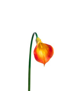 28" Large Silk Calla Lily Flower Stem S3080