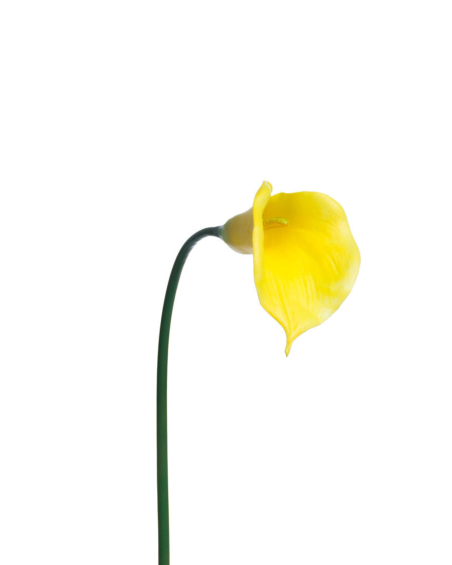 28" Large Silk Calla Lily Flower Stem S3080