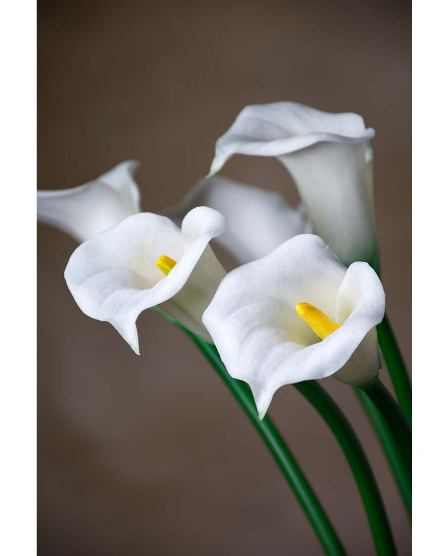 27" Medium Silk Calla Lily Flower Stem S3081