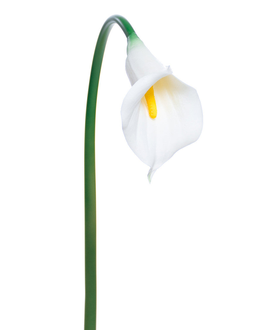 27" Medium Silk Calla Lily Flower Stem S3081