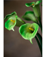 27" Medium Silk Calla Lily Flower Stem S3081