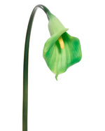 27" Medium Silk Calla Lily Flower Stem S3081