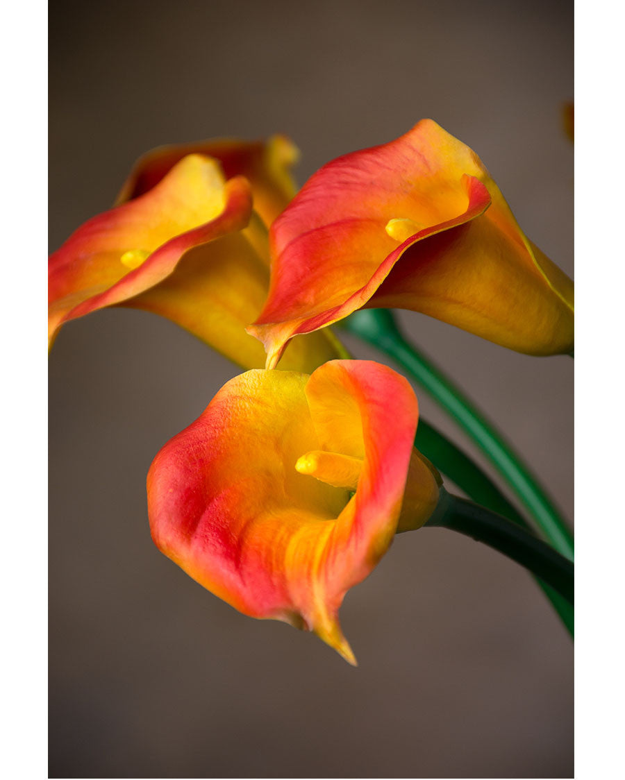 27" Medium Silk Calla Lily Flower Stem S3081