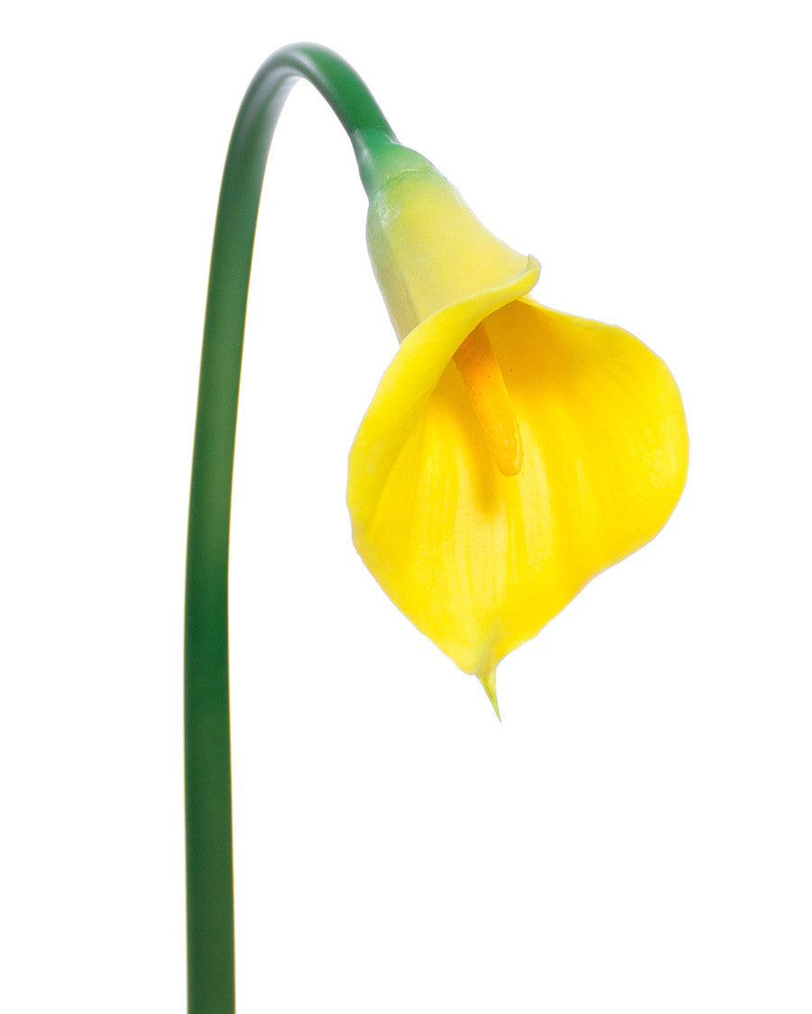 27" Medium Silk Calla Lily Flower Stem S3081