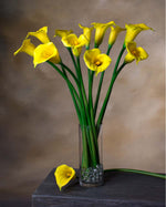 27" Medium Silk Calla Lily Flower Stem S3081