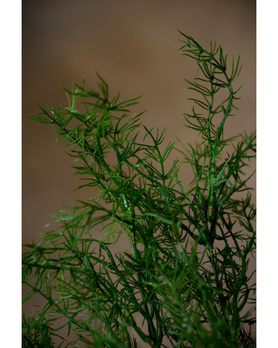 27" Artificial Springerii Foliage Stem S4059-GR
