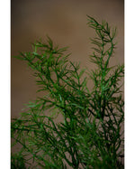 27" Artificial Springerii Foliage Stem S4059-GR