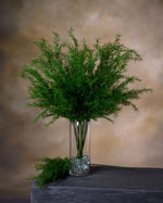 27" Artificial Springerii Foliage Stem S4059-GR