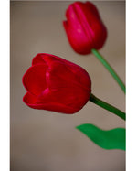 27" Silk Tulip Flower Stem S4078