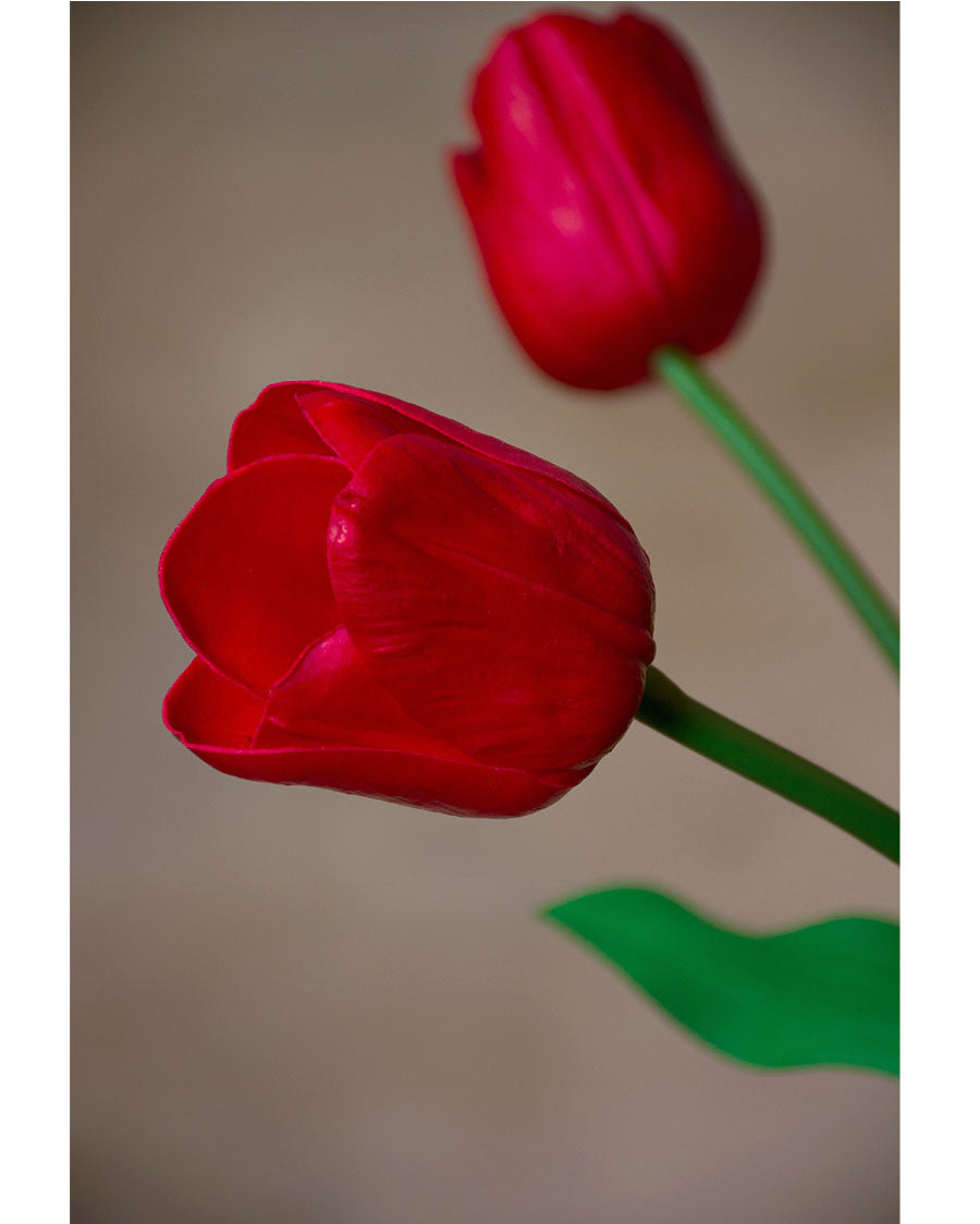 27" Silk Tulip Flower Stem S4078