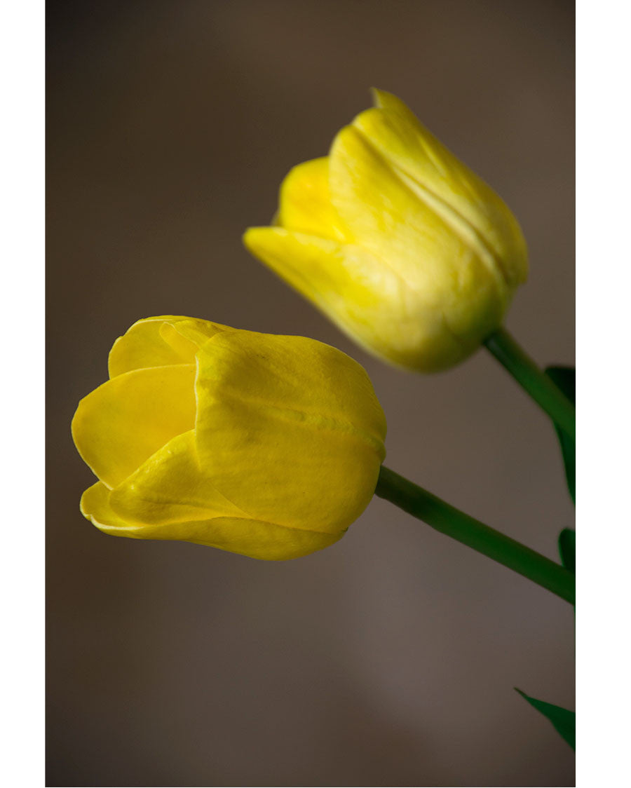27" Silk Tulip Flower Stem S4078