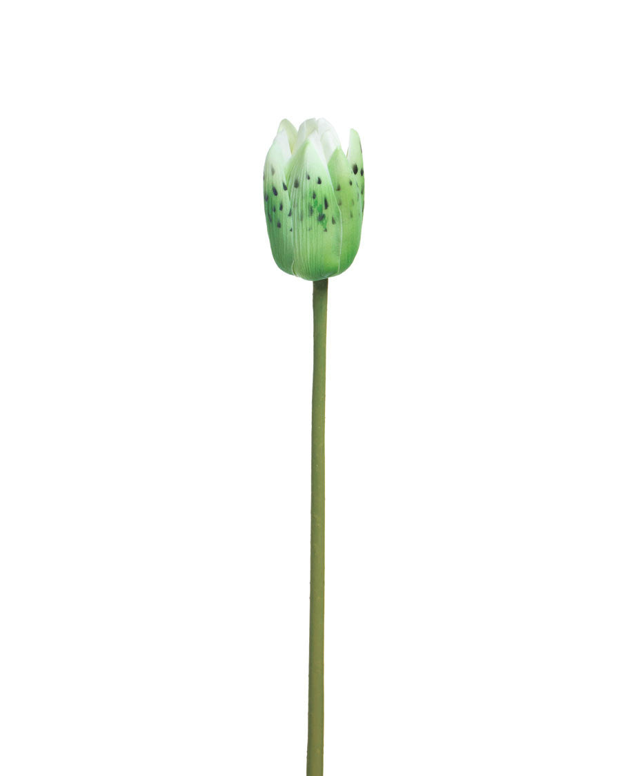 Water Lily Bud Faux Flower Stem S4139-CR