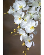 35" Artificial Phalaenopsis Orchid Stem S4167