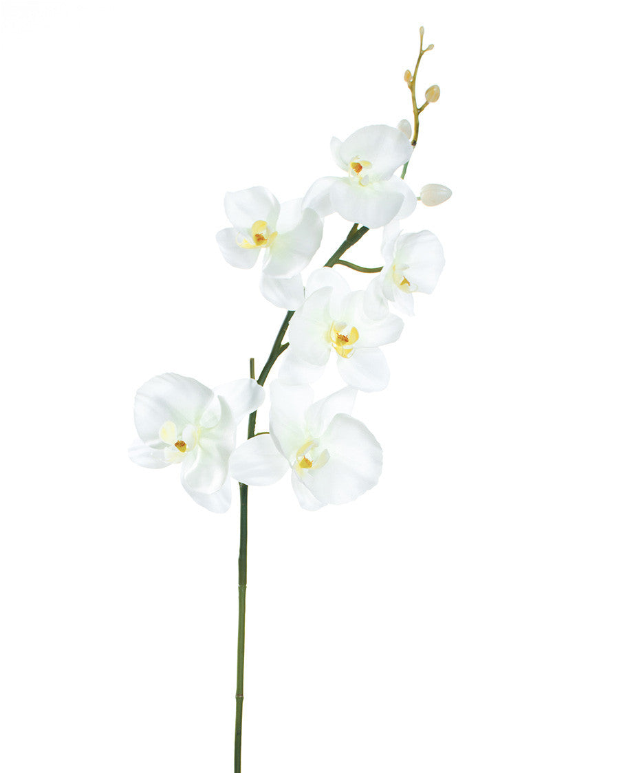35" Artificial Phalaenopsis Orchid Stem S4167