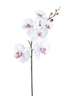 35" Artificial Phalaenopsis Orchid Stem S4167