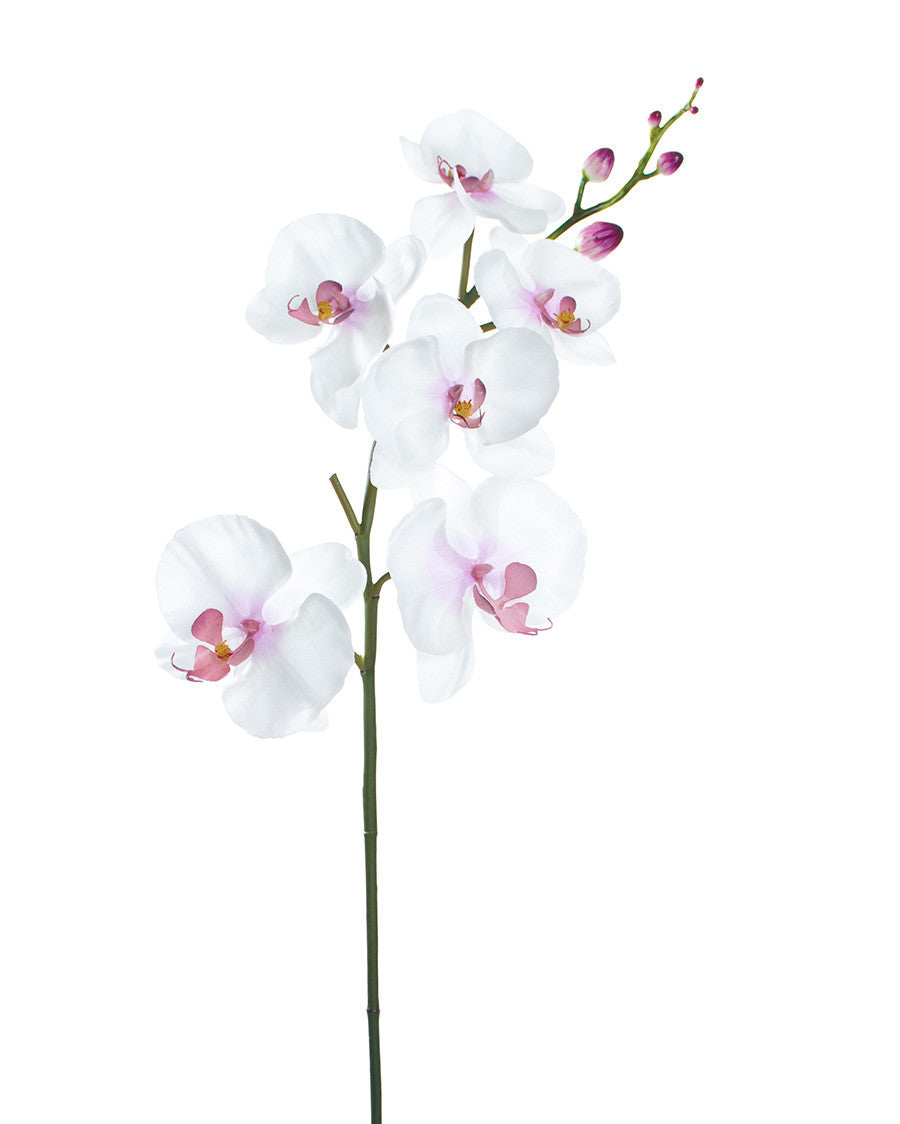 35" Artificial Phalaenopsis Orchid Stem S4167
