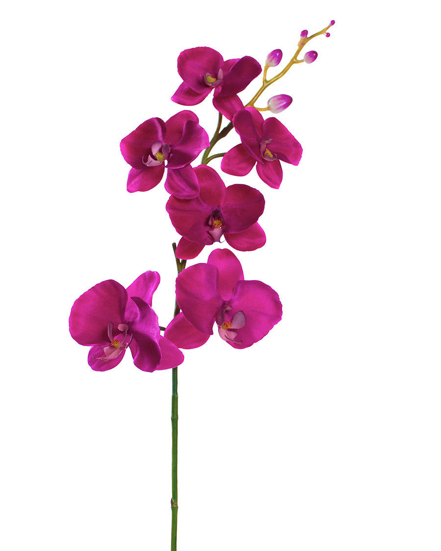 35" Artificial Phalaenopsis Orchid Stem S4167