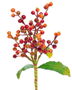14" Faux Berry Foliage Stem Spray S4168