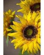 29" Medium Sunflower Silk Flower Stem S4189-YL