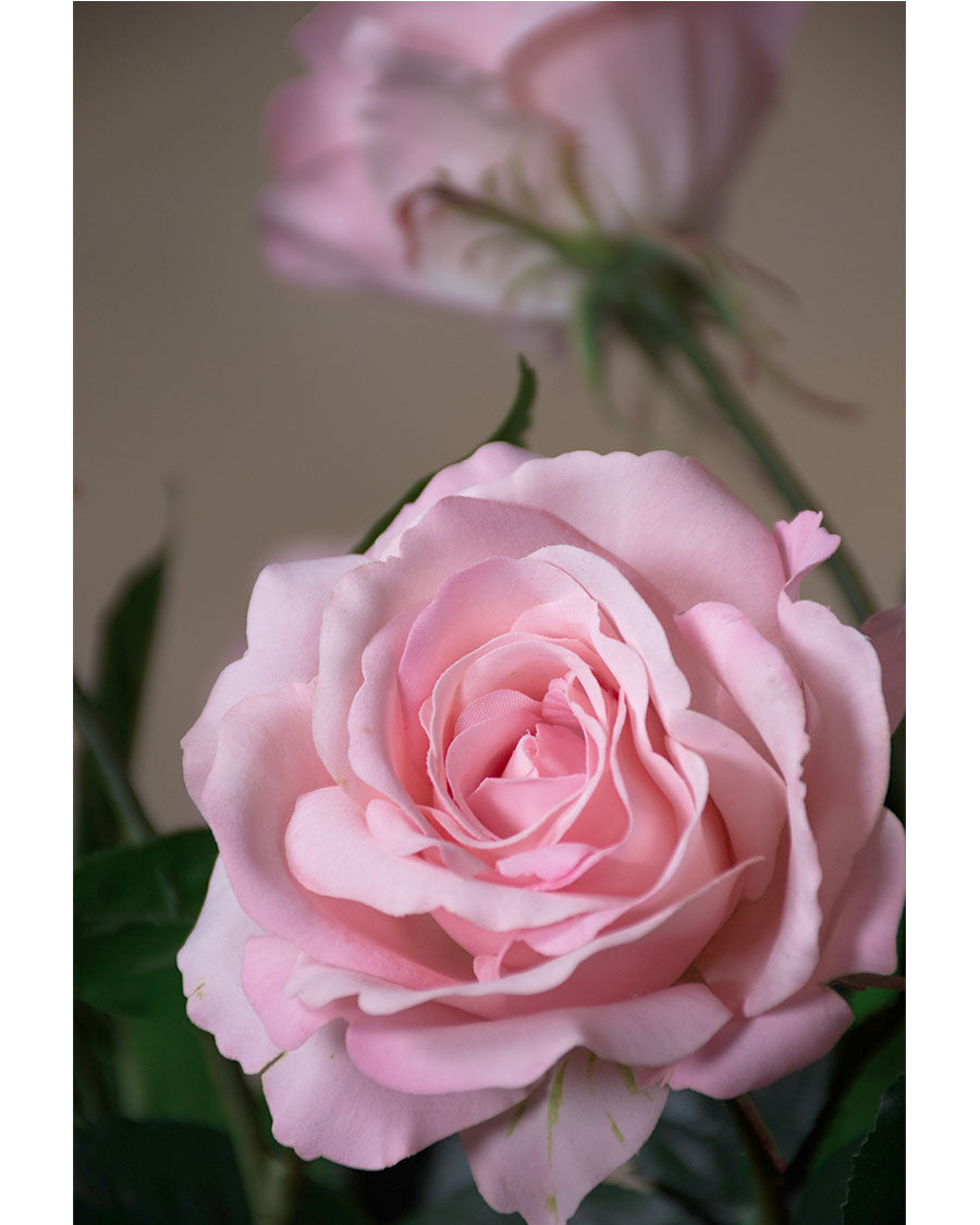 29" Open Rose Silk Flower Stem S4220