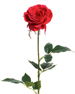 29" Open Rose Silk Flower Stem S4220