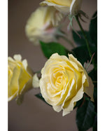 29" Open Rose Silk Flower Stem S4220