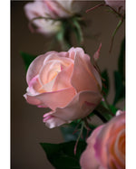 30" Rose Bud Silk Flower Stem S4221