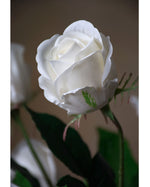 30" Rose Bud Silk Flower Stem S4221
