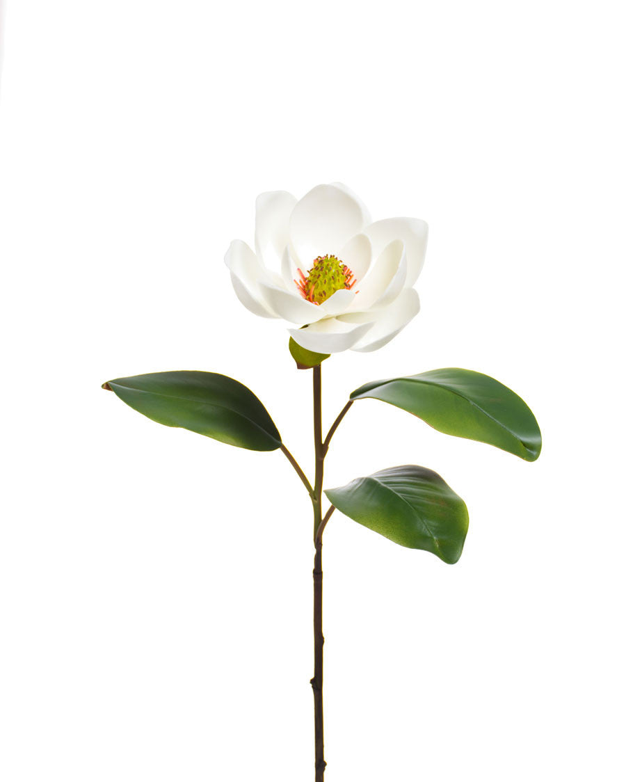 24" Medium Faux Magnolia Flower Stem S4275-WH