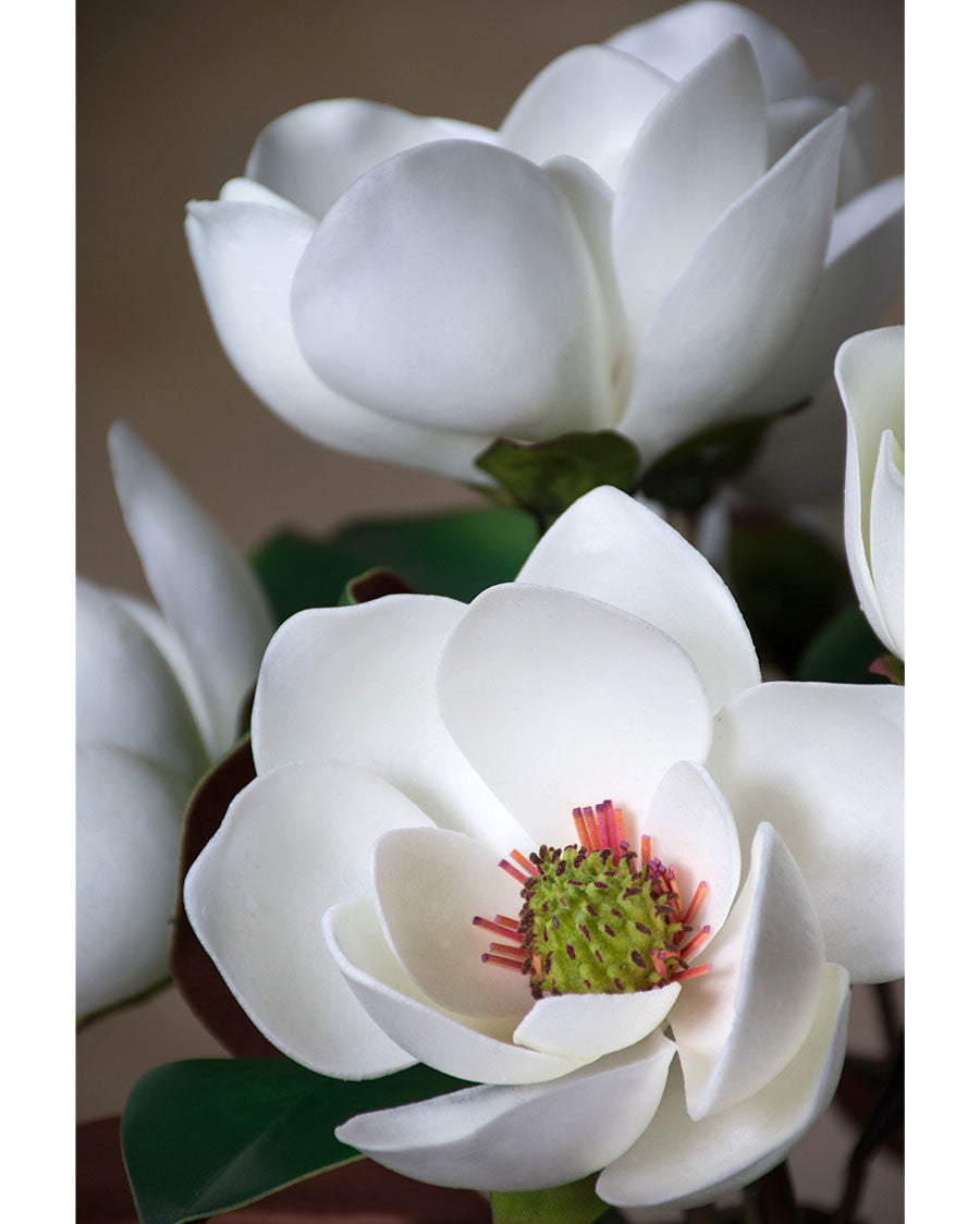 24" Large Faux Magnolia Flower Stem S4276-WH