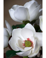 24" Large Faux Magnolia Flower Stem S4276-WH