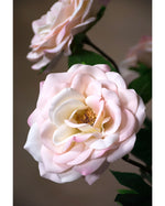 29" Blown Open Rose Silk Flower Stem S4398
