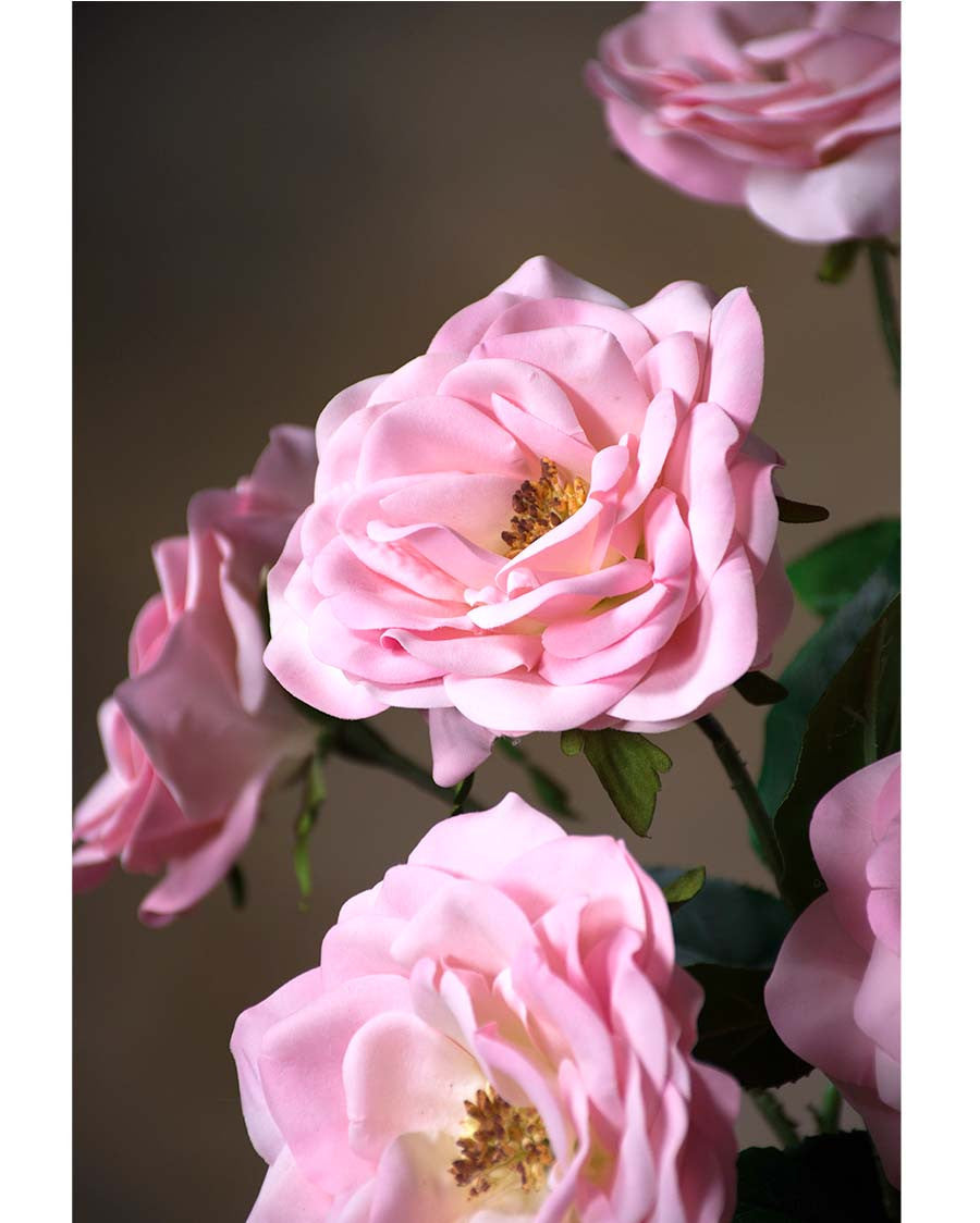 29" Blown Open Rose Silk Flower Stem S4398