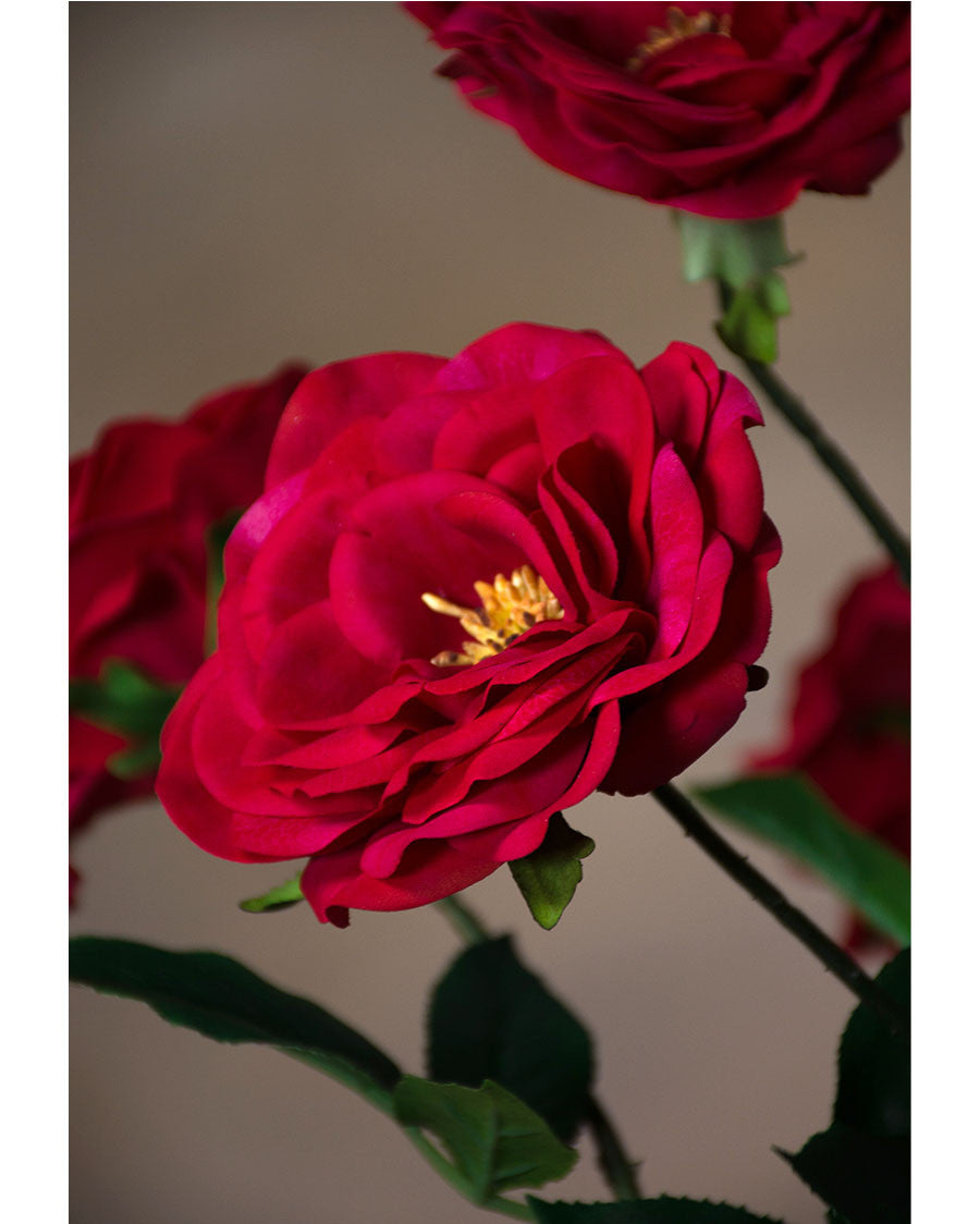29" Blown Open Rose Silk Flower Stem S4398
