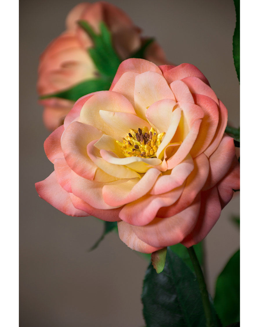 29" Blown Open Rose Silk Flower Stem S4398