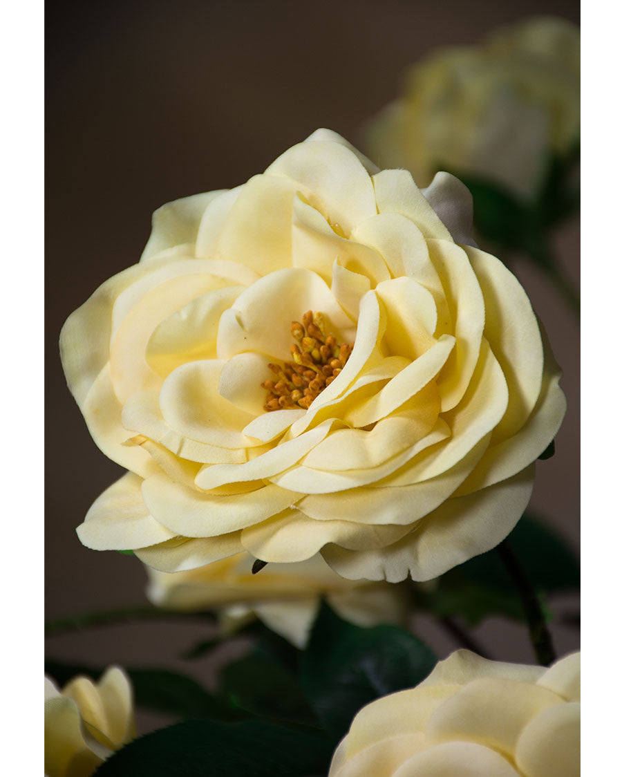 29" Blown Open Rose Silk Flower Stem S4398