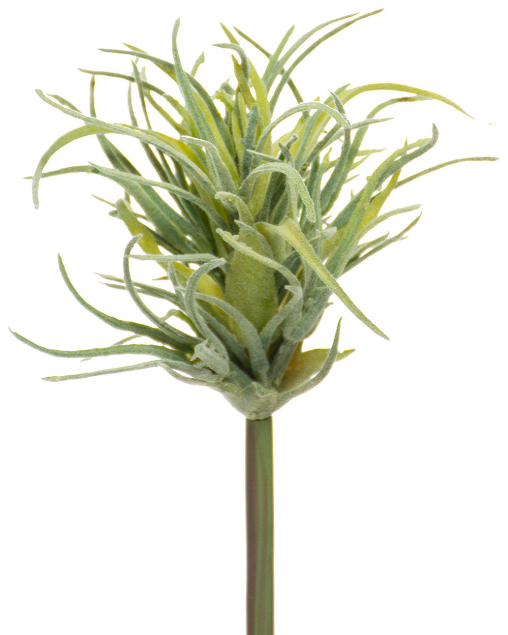 8" Artificial Tillandsia Air Plant Foliage Stem S4421-DKGR