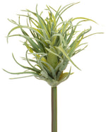 8" Artificial Tillandsia Air Plant Foliage Stem S4421-DKGR