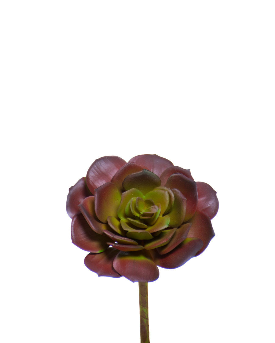 5.75" Faux Echeveria Pick Foliage Stem