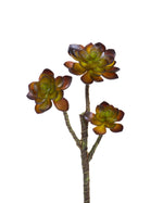 13" Faux Echeveria Artificial Foliage Spray S4428-CF