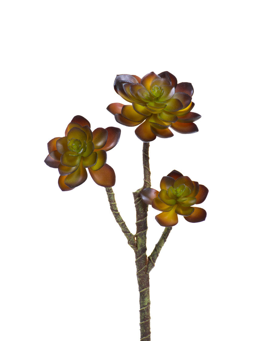 13" Faux Echeveria Artificial Foliage Spray S4428-CF