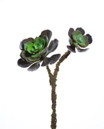 13" Hen & Chick Artificial Foliage Stem S4430-BUGR